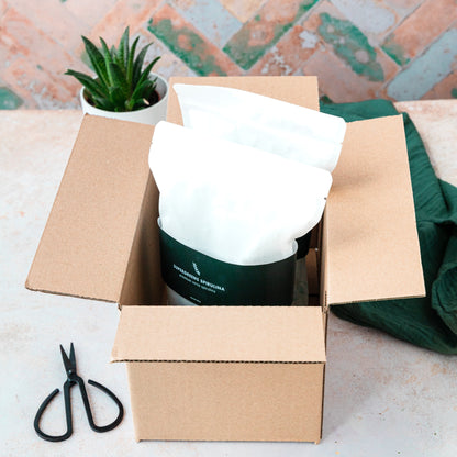 Een kartonnen doos met daarin twee stazakken bevroren spirulina van Supergreens Spirulina